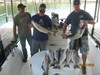 (08/22/2016) - Nice Striped Bass